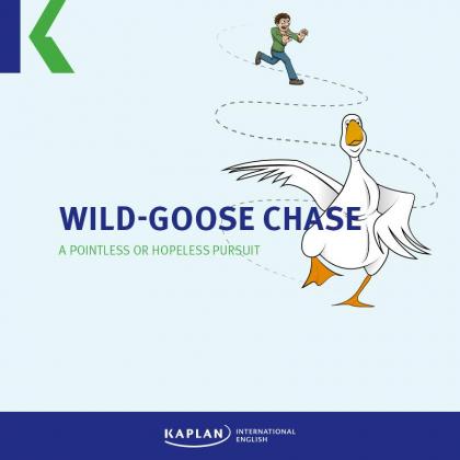 Wild-goose chase